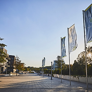 Promenade mit Fahnen im Wilhelmsburger Sommerpark bei Sonnenschein, umgeben von Bäumen und modernen Gebäuden