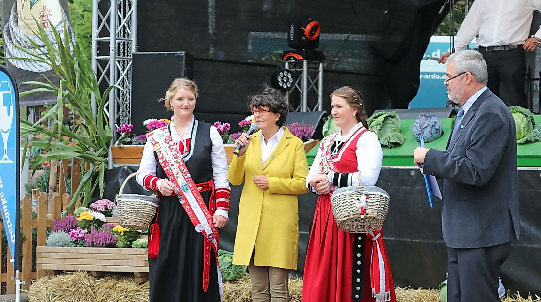 Marner Stadtfest im Rahmen der Dithmarscher Kohltage