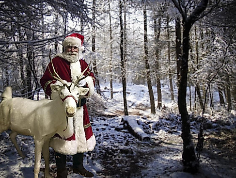 Bild von Ron Porter auf Pixabay