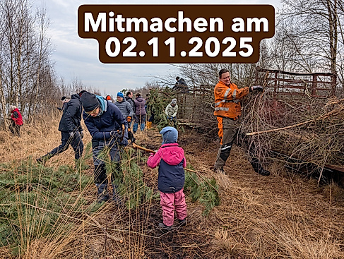 Mit der Torfbahn ins Moor