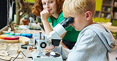 Forschen in der Botschaft der Wildtiere