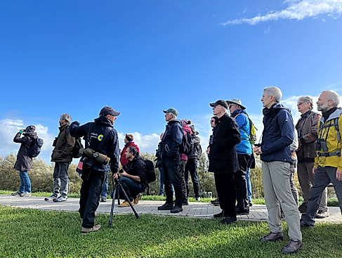 Mit dem Nationalpark-Ranger zu den Zugvögeln