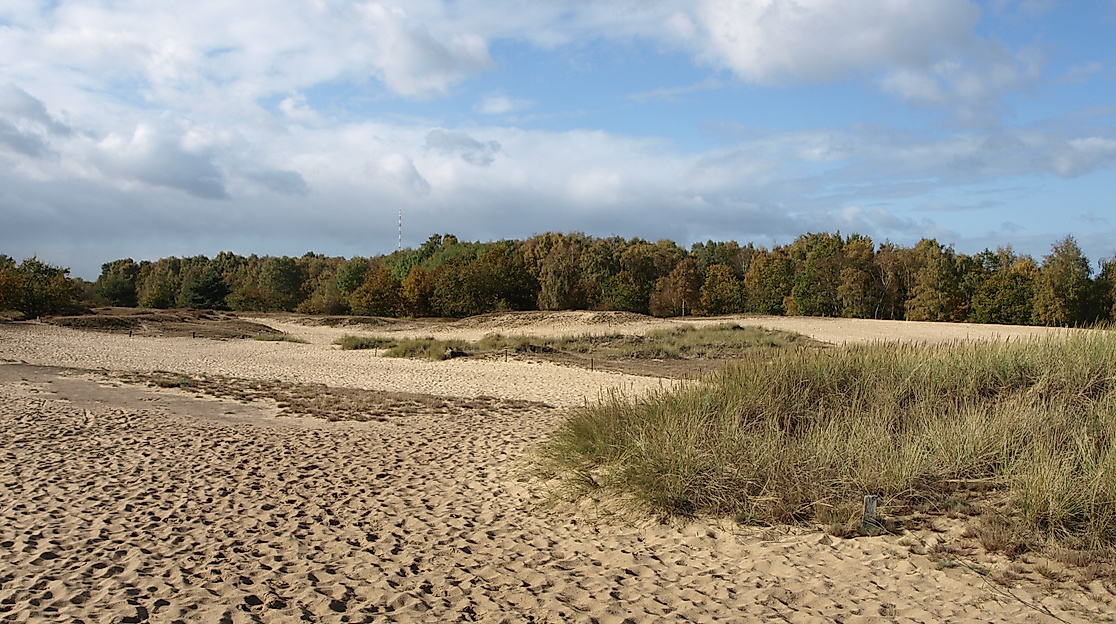 Boberger Dünen
