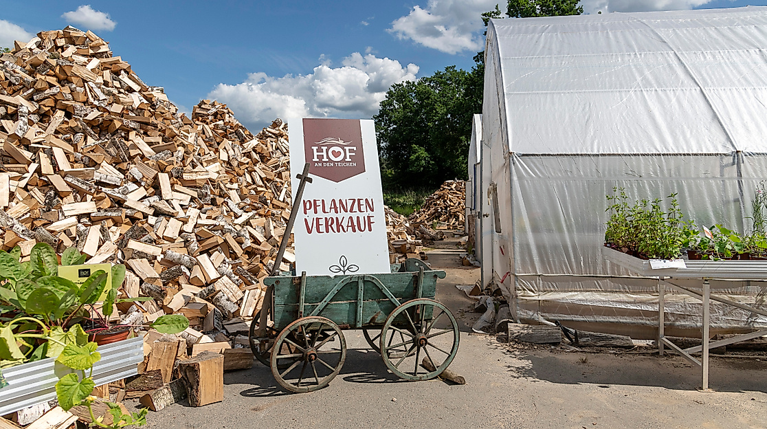 Pflanzen-Markt mit Beratung