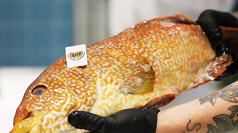 Menüabend - QSFP Menü