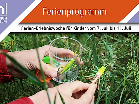 Insekten-Erlebniswoche