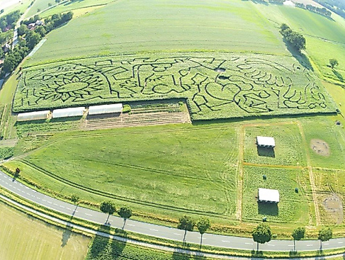 Maislabyrinth Südheide