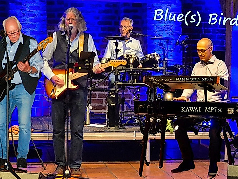 blues-birds
