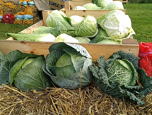 Wochenmarkt