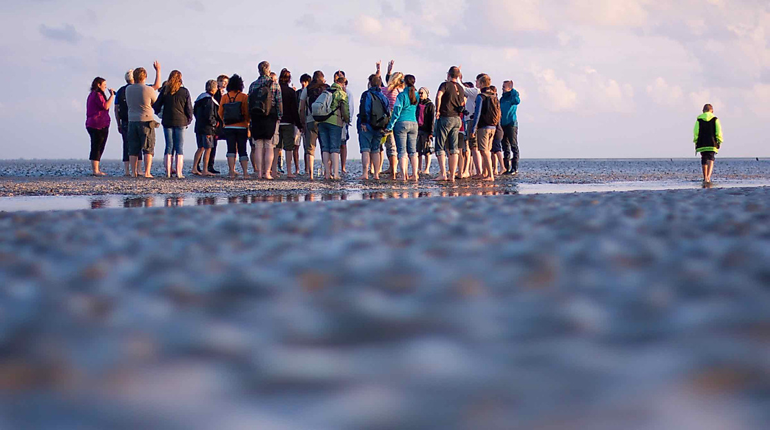 Wattwanderung in Büsum: Weltnaturerbe Wattenmeer