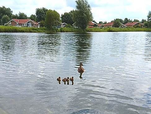 Jahreszeiten-Spaziergang für Trauernde