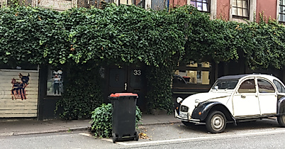 bambi_kino_c-anna_lidle-1