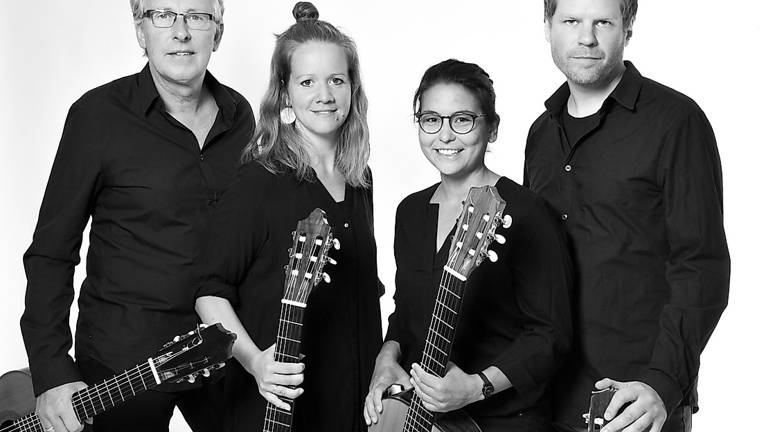 Foto Elbe-Saiten-Quartett