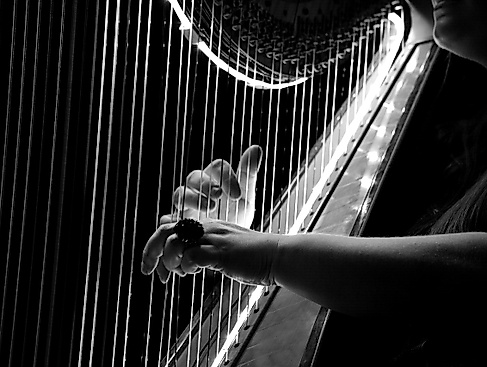 Live-Musik im Taubenhof - Sackville Street