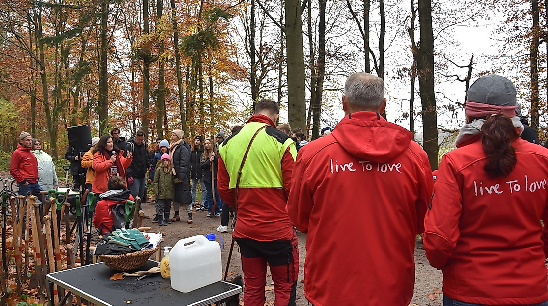 18.000 Heister hat die Stiftung bisher im Klövensteen gepflanzt