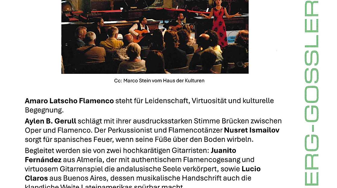 260911_flamenco_plakat
