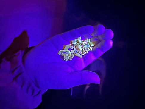 Bernstein unter UV-Licht
