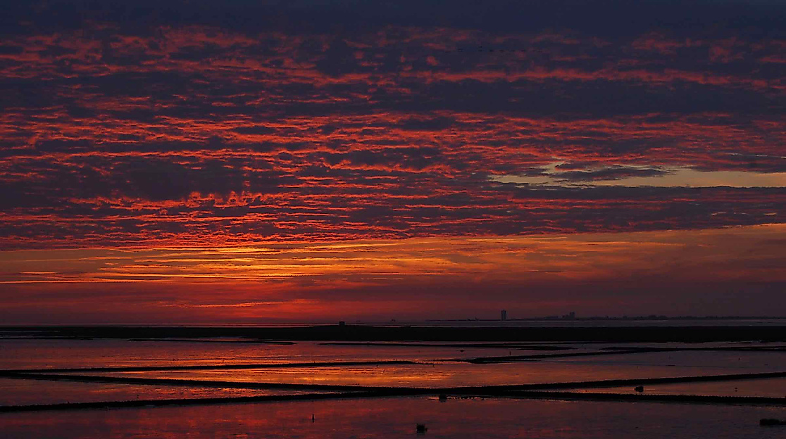 Im Dunkeln am Deich - Abendwanderung mit allen Sinnen