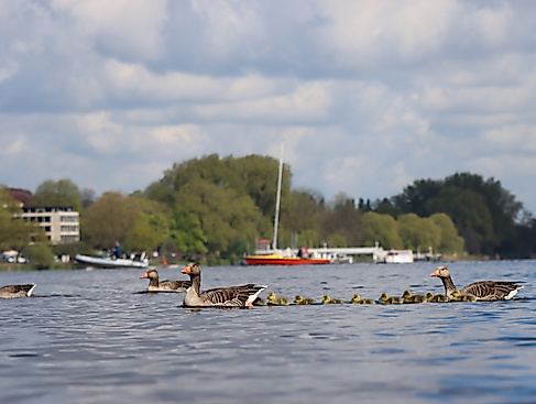 ganshamburg_2025-11-15