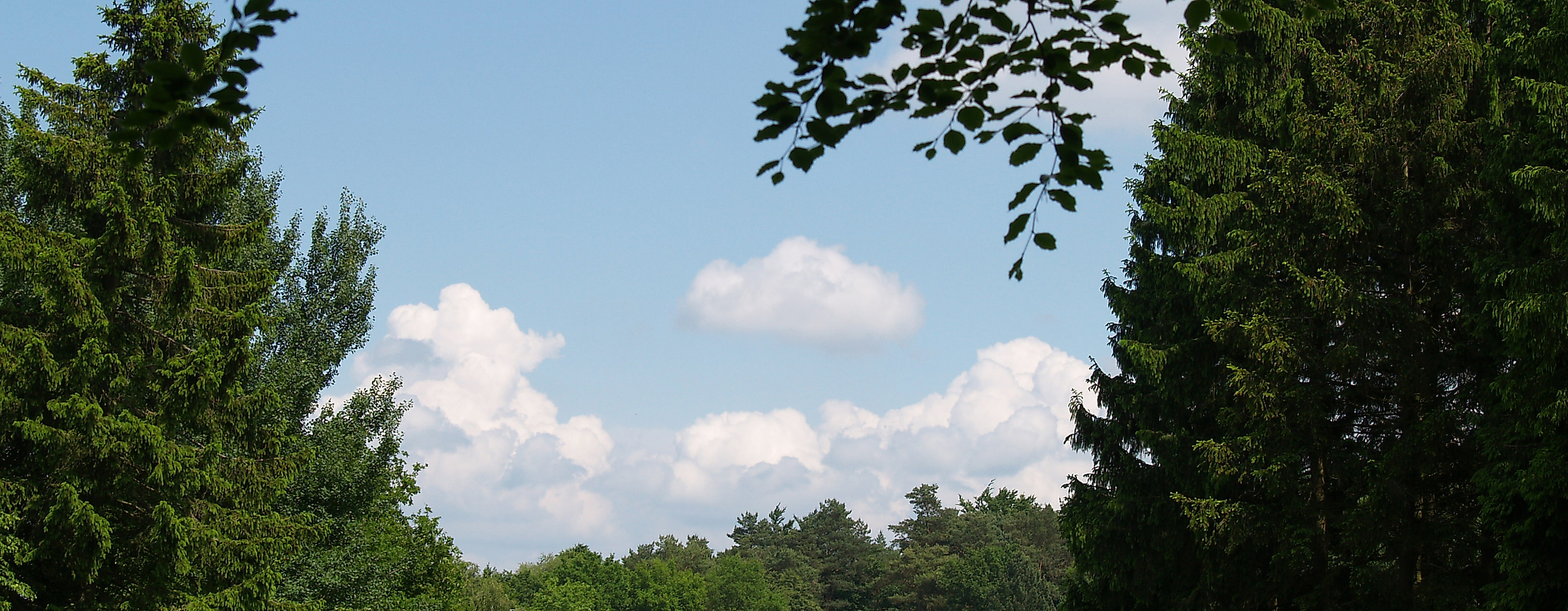 golfplatz-am-hockenberg_c-golfplatz-am-hockenberg_04