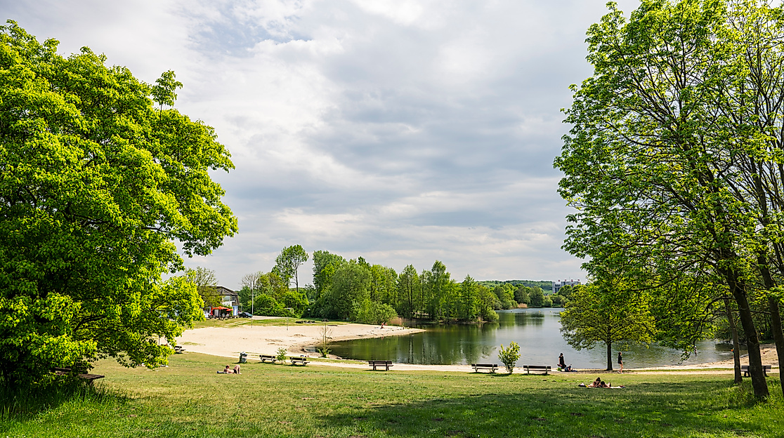 Picknick und Musik am Inselsee