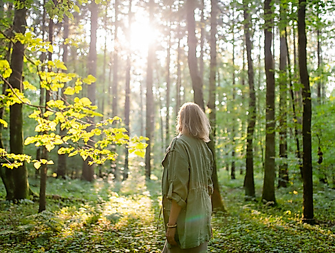 Waldbaden in Hamburg im Sommer| waldimpuls-hamburg