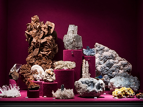 Museum der Natur Hamburg - Zoologie