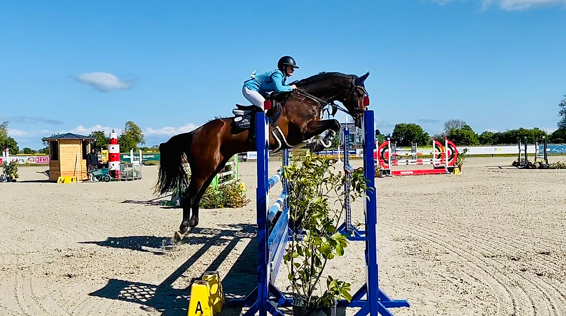 Springturnier im Reitsportzentrum Fehmarn