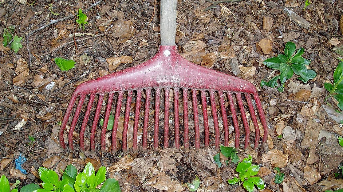 Harke - Gartenpflege  im Herbst
