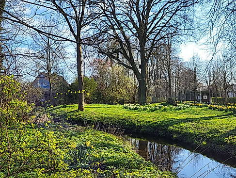 OP_kurpark_waldbaden_1920x1080px
