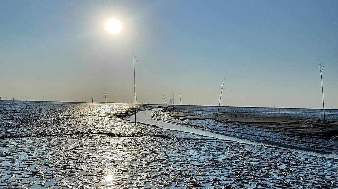 Watterkundung-Wremen