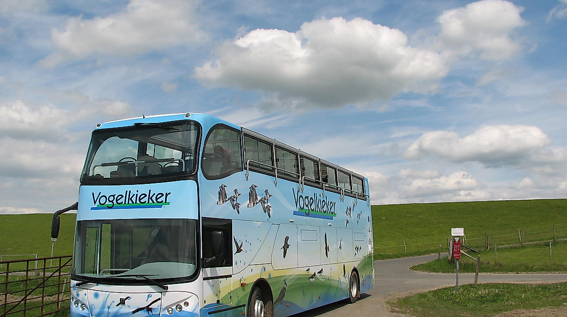 Vogelkieker