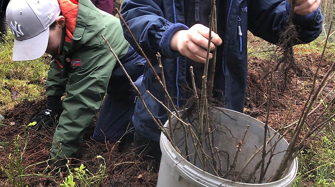 Schüler mit Setzlingen 2024