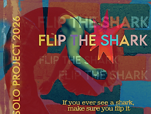 CDSH // Soloprojekte: Flip The Shark // Programm B