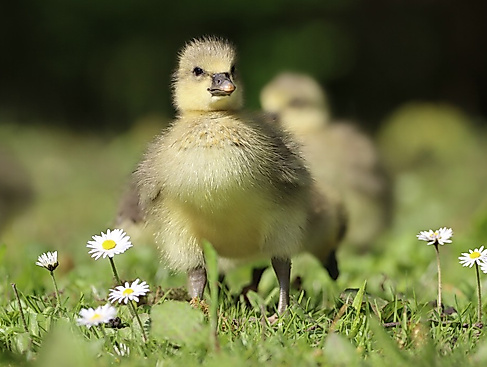 termin_19.04.26_IMG_9551_NACHWUCHS