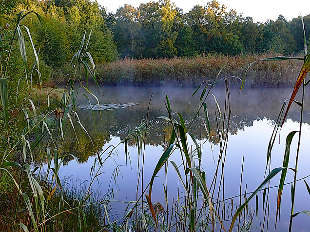 Ausflug ins Naturschutzgebiet Rothsteinsmoor