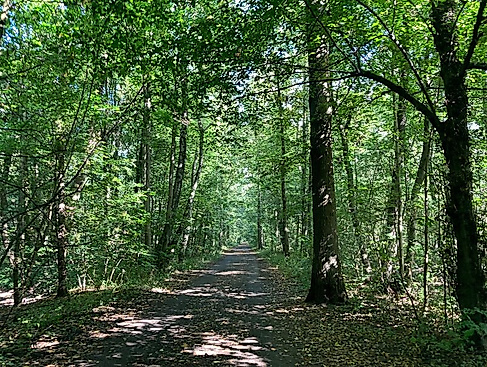 Tag der Geschichtswerkstätten