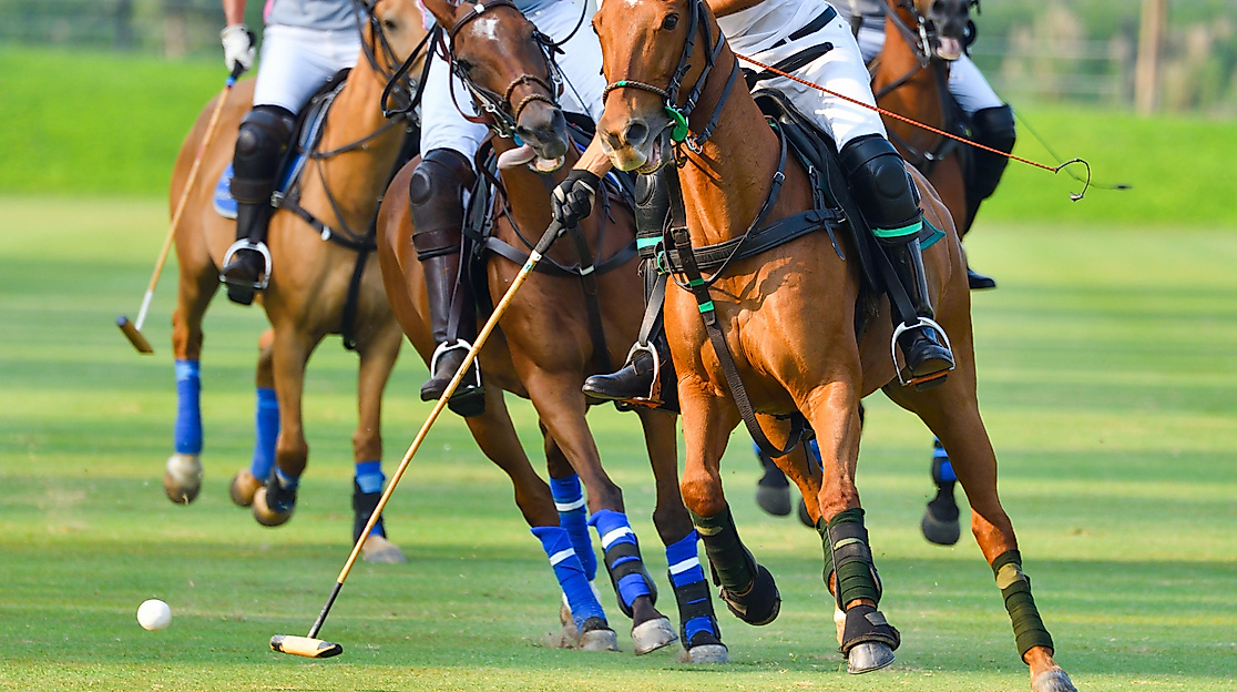 Hamburger Polo Club