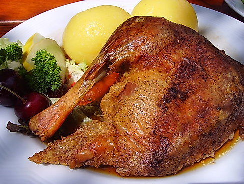Gänsebraten_Pixabay_Alexander_Dittrich