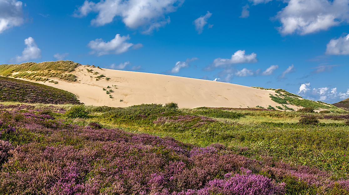 Insel Sylt