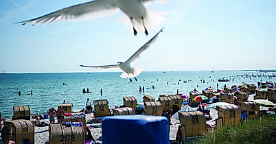 Insel Fehmarn an der Ostsee