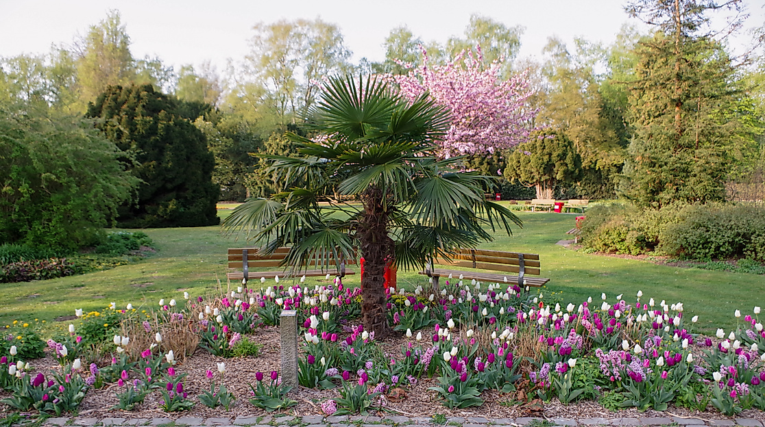Botanischer Sondergarten im Frühling