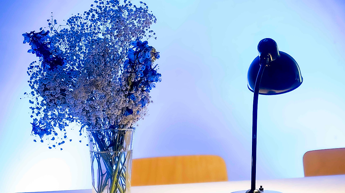 X01_i'm growing fur 3 - AtelierRosaCesaro