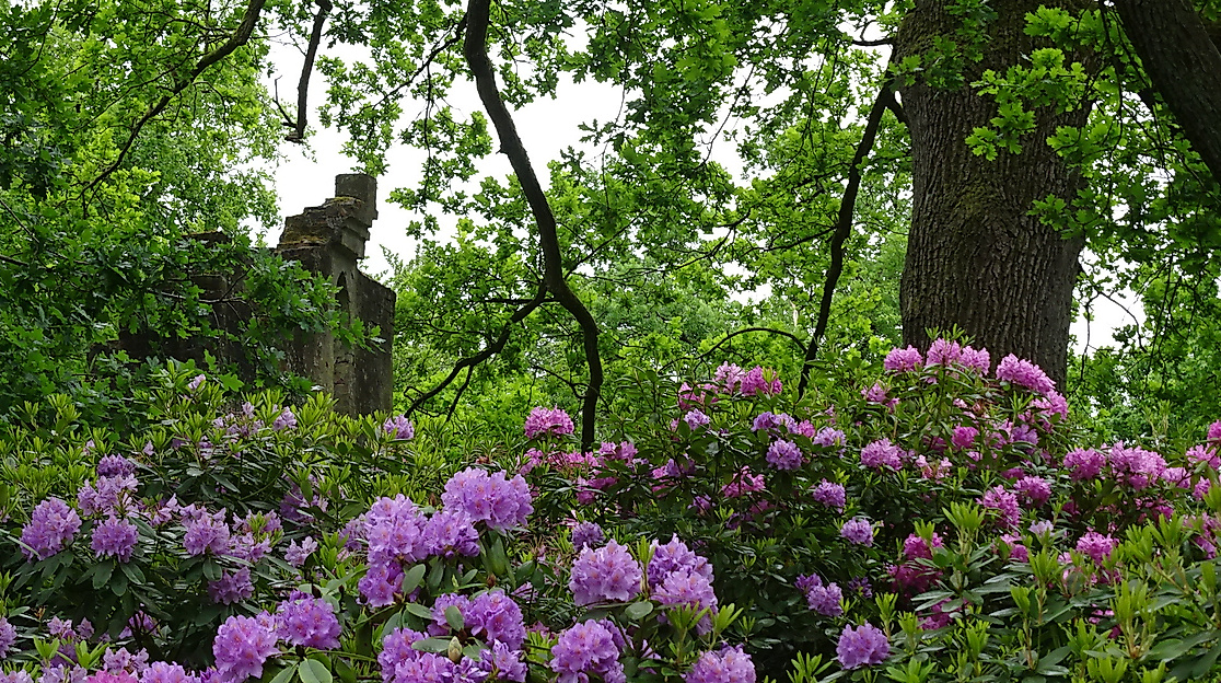 Führung Breidings Garten Soltau