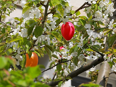 Gottesdienst am Ostersonntag