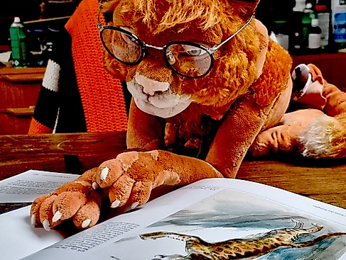 MATOU! Die Katze, die kein Mensch sein will - nach Michael Köhlmeier