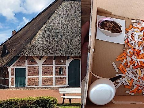 GRUMMOLOGIE - Die Welt der Grummel entdecken!