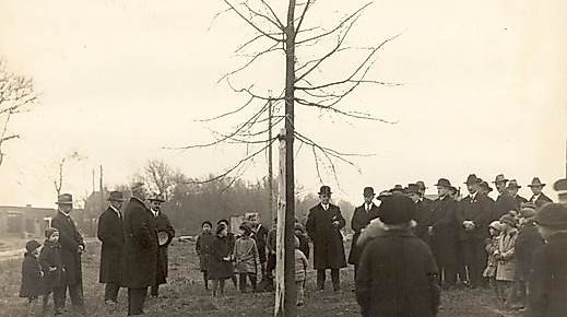 Pflanzung Schubert-Linde 1928