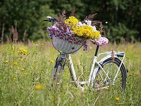 Radtour mit dem Radelrudel