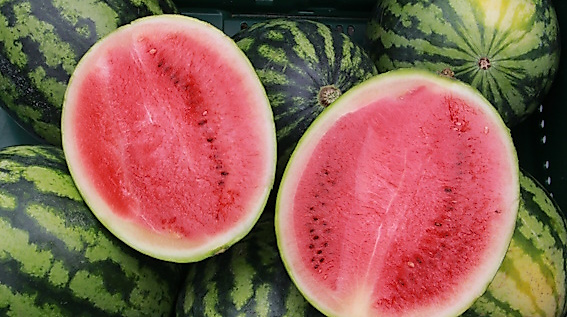 Bio-Melonen auf de Wochenmarkt